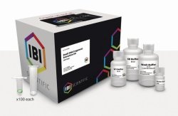 Gel / PCR / DNA Small Fragment Extraction Kit | For : 100 preps